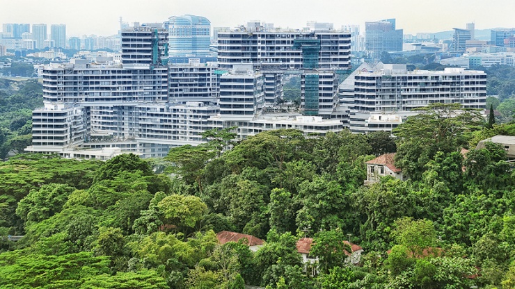 Luftaufnahme von The Interlace mit üppiger Grünanlage im Vordergrund