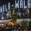 Straßenansicht der Wala Wala Café Bar bei Nacht 
