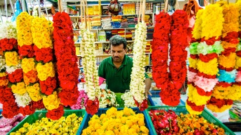 Blumenverkäufer in Little India in Singapur