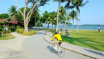 A person cycling at Changi Beach Park
