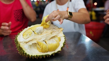 A hand picking up a shell from an opened durian