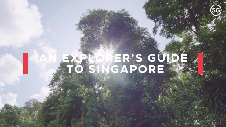 An Explorer's Guide to Singapore