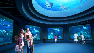 Keluarga memandangi kehidupan bahari di S.E.A. Aquarium™
