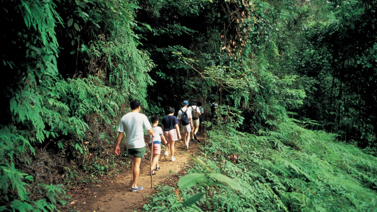 Keluarga melakukan lintas alam di Bukit Timah Nature Reserve
