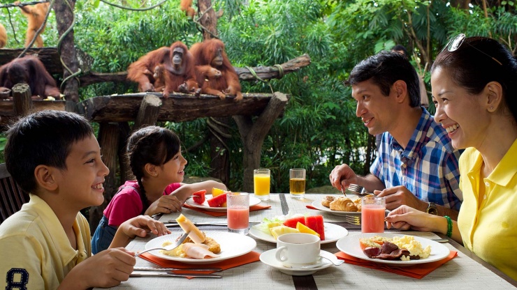 싱가포르 동물원에서 오랑우탄과 함께 하는 가족 다이닝