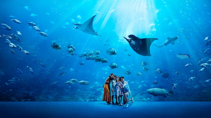 Family looking at marine life at the S.E.A. Aquarium™
