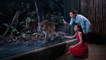 Một gia đình quan sát chuồng hổ tại Vườn Thú đêm Night Safari Singapore