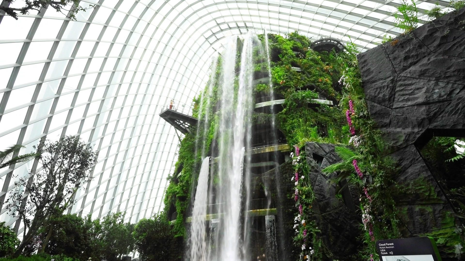 Gardens by the Bay