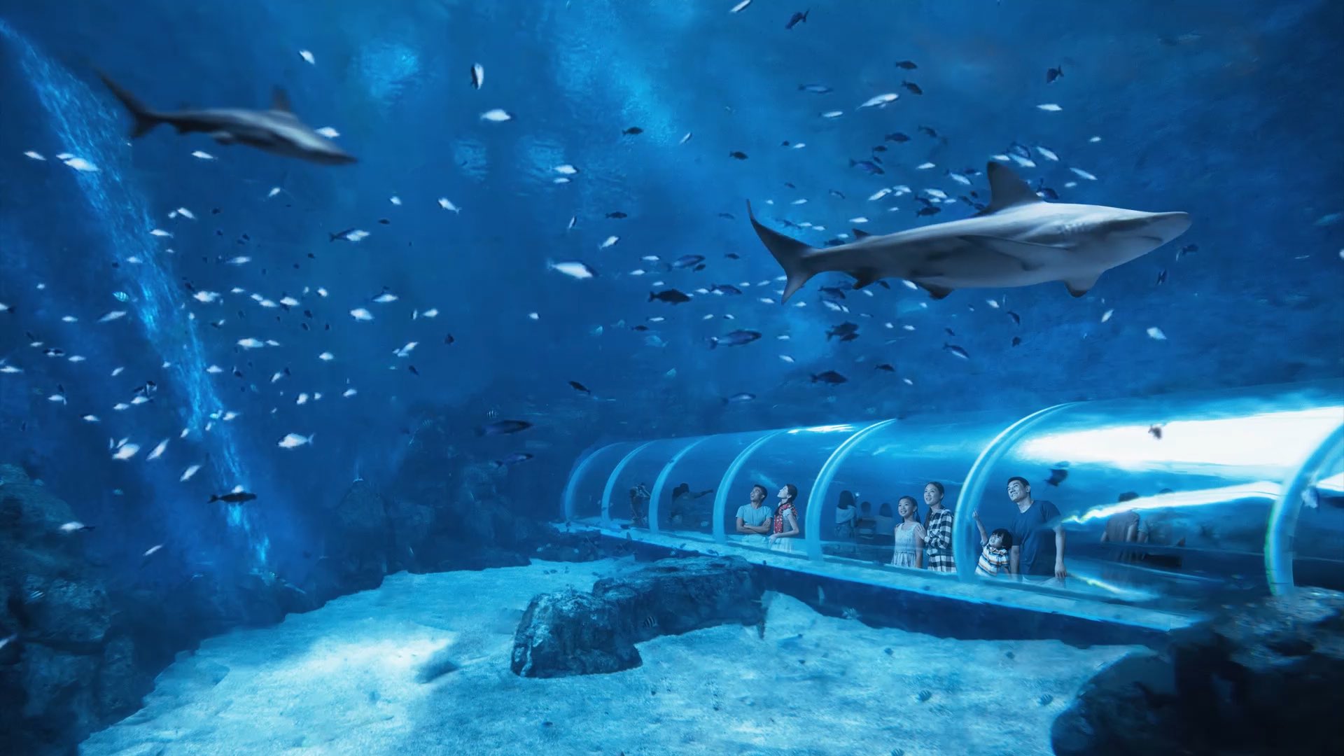 S.E.A. Aquarium™