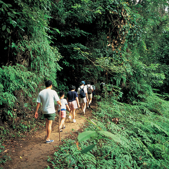 Bukit Timah Nature Reserve – Visit Singapore Trang Chính Thức Bukit Timah Nature Reserve – Visit Singapore Trang Chính Thức