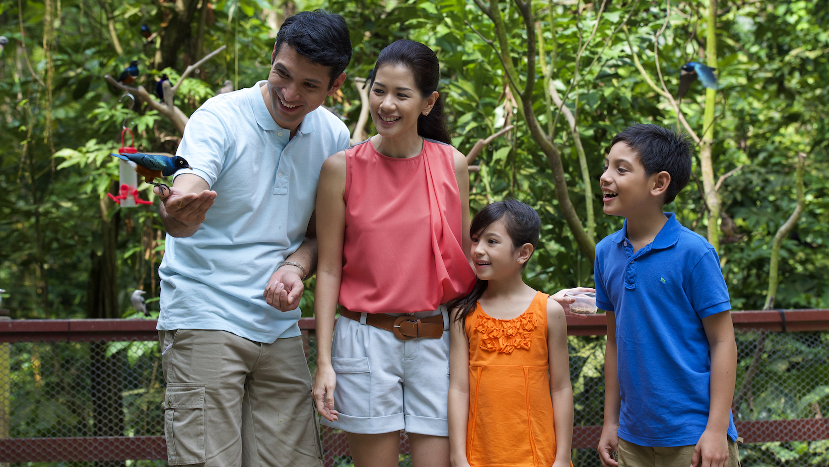 Jurong Bird Park (Permanently Closed) - Visit Singapore Official Site