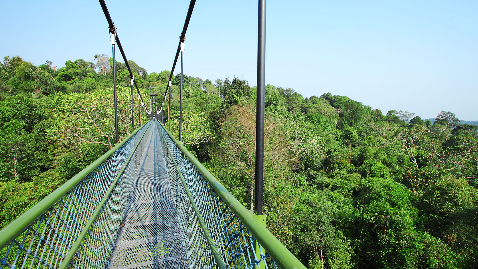 MacRitchie Singapore & Singapore Nature Reserve