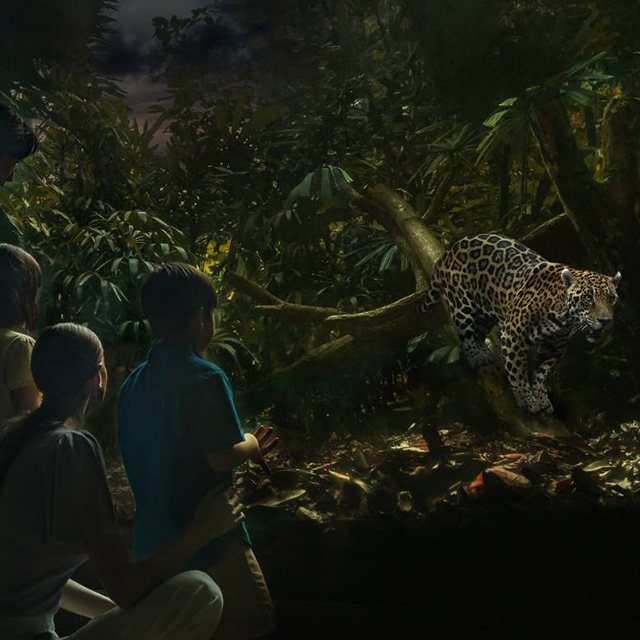 Explore Animals in the Night Safari at Singapore Zoo - Visit Singapore Official Site Explore Animals in the Night Safari at Singapore Zoo - Visit Singapore Official Site