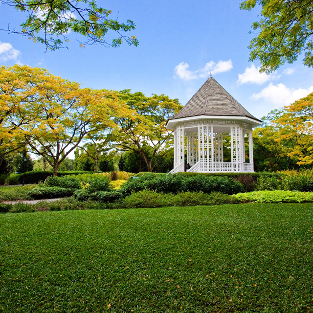 singapore botanic gardens flowers