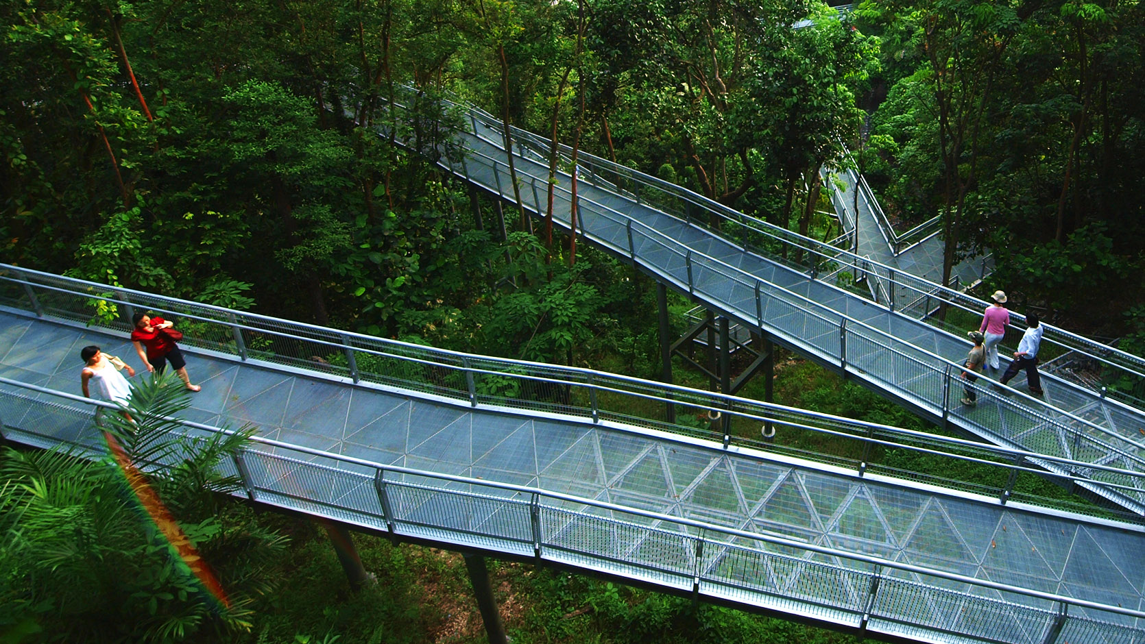 Sungei Buloh