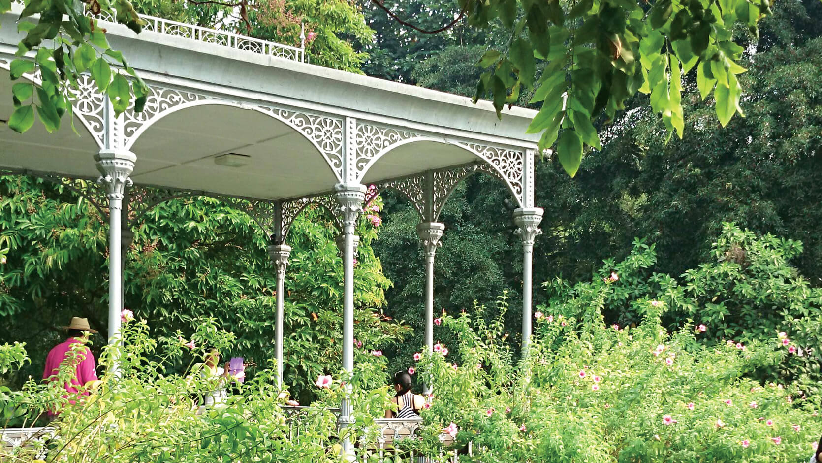 Singapore botanic gardens