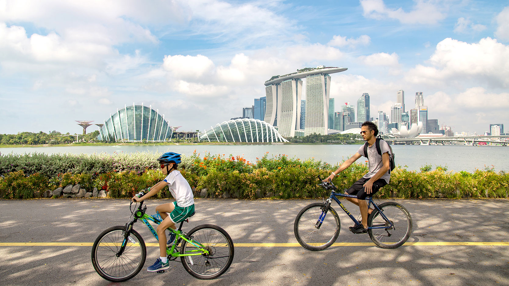 scenic tours singapore