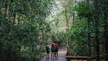 Three walkers on a forest trail, symbolizing eco-friendly travel arranged after sustainable MICE events in Singapore