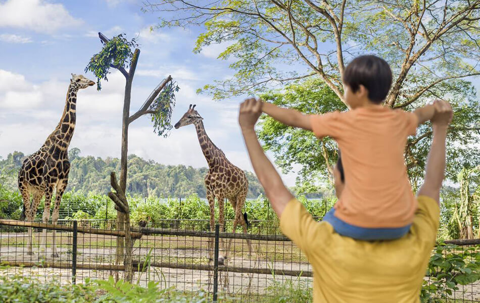 Mandai Wildlife Reserve