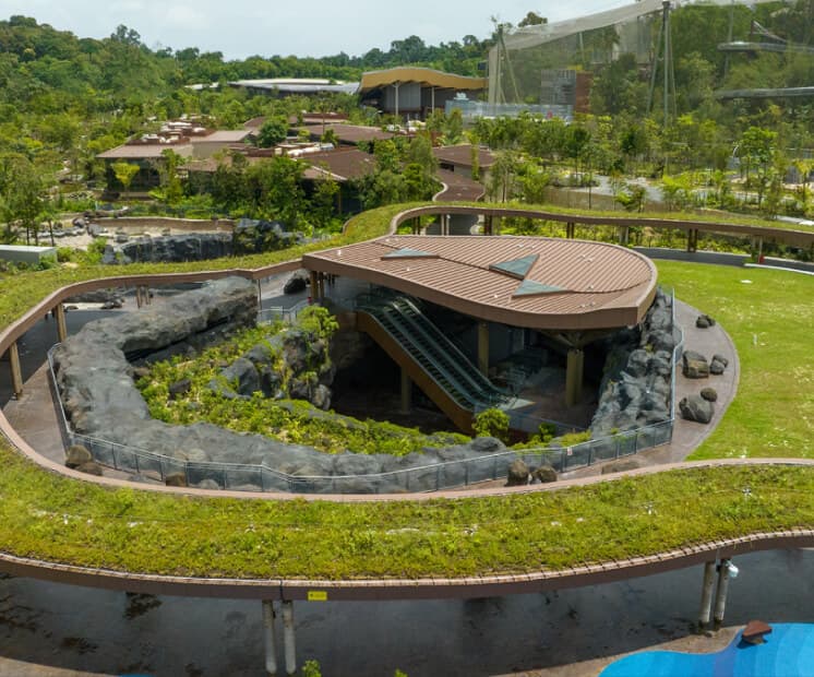Greenery Galore of Singapore