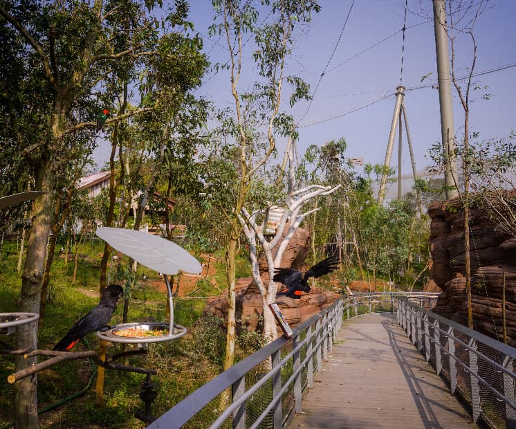 Walk on the side in Mandai Wildlife
