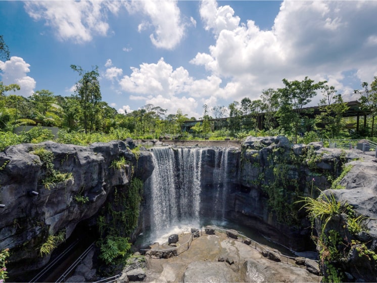 Mandai Wildlife Reserve