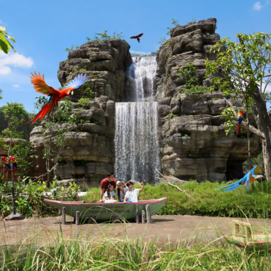 Mandai Bird Paradise - Water Foundation