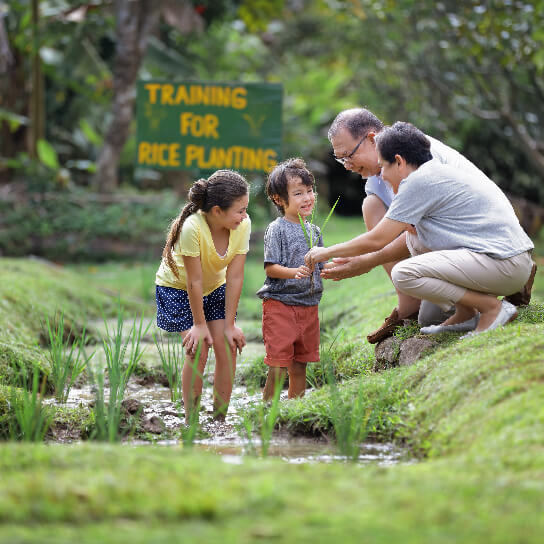 Kids learning the rice planting