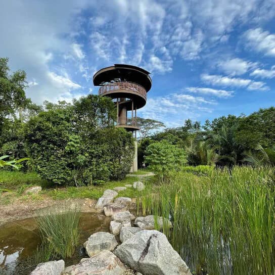 Kranji Marshes of National Park Singapore
