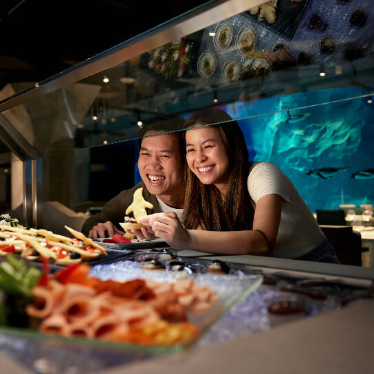 Penguin Cove Restaurant at Mandai Wildlife