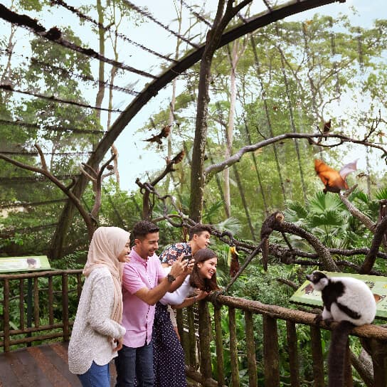 Visitors exploring Singapore Zoo 