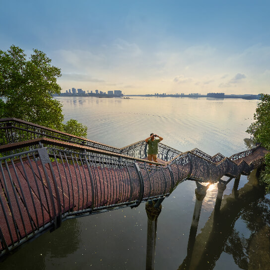 Majestic view of Sungei Buloh Coastal Trail