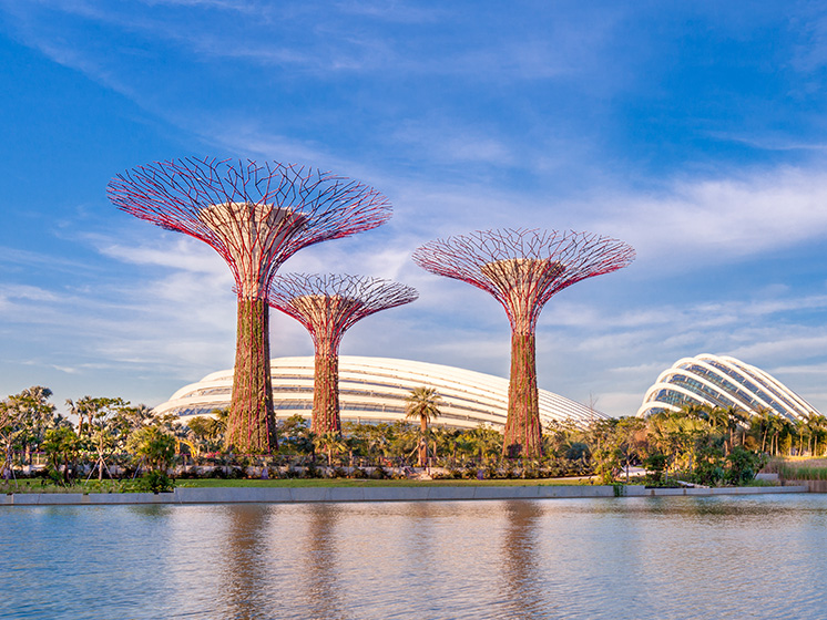 Gardens by the Bay Singapore