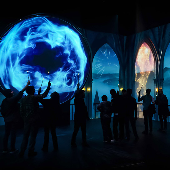 Harry Potter: Visions of Magic