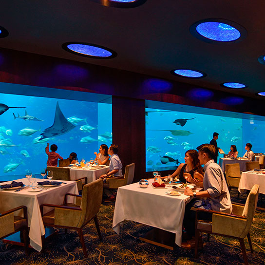 Immersive dining experience at Ocean restaurant