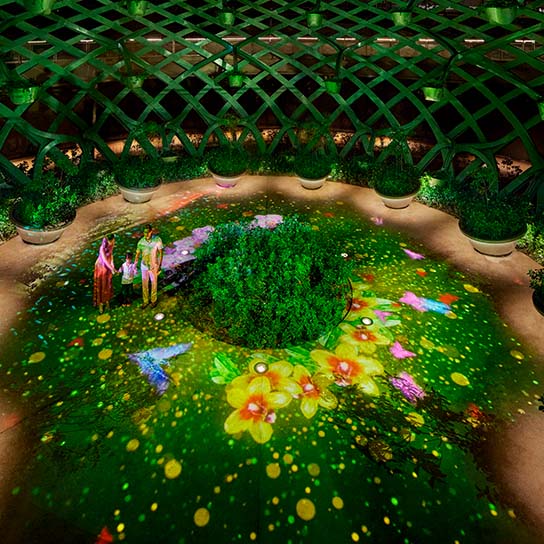 Sensory journey at Sensoryscape, Sentosa