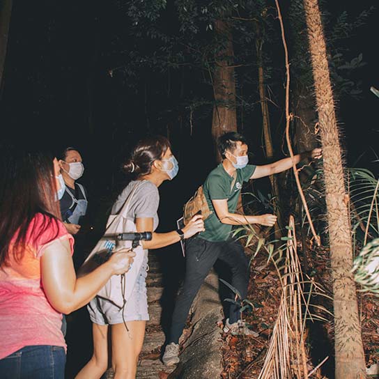 Night adventures in Sentosa island