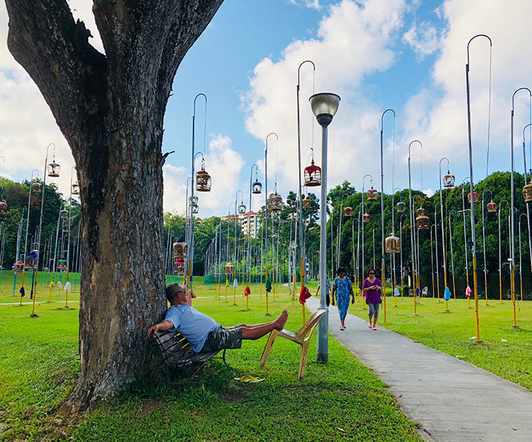 Relaxing in the park