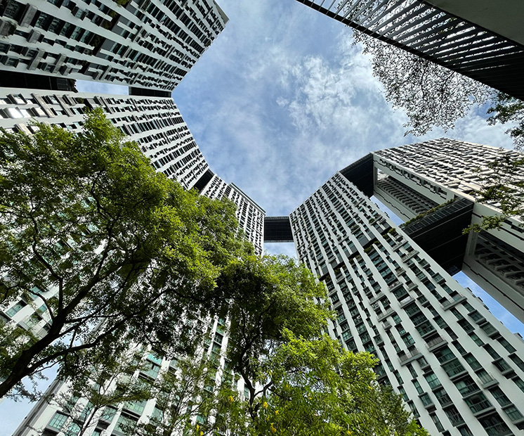 Greenary around skyscrapers