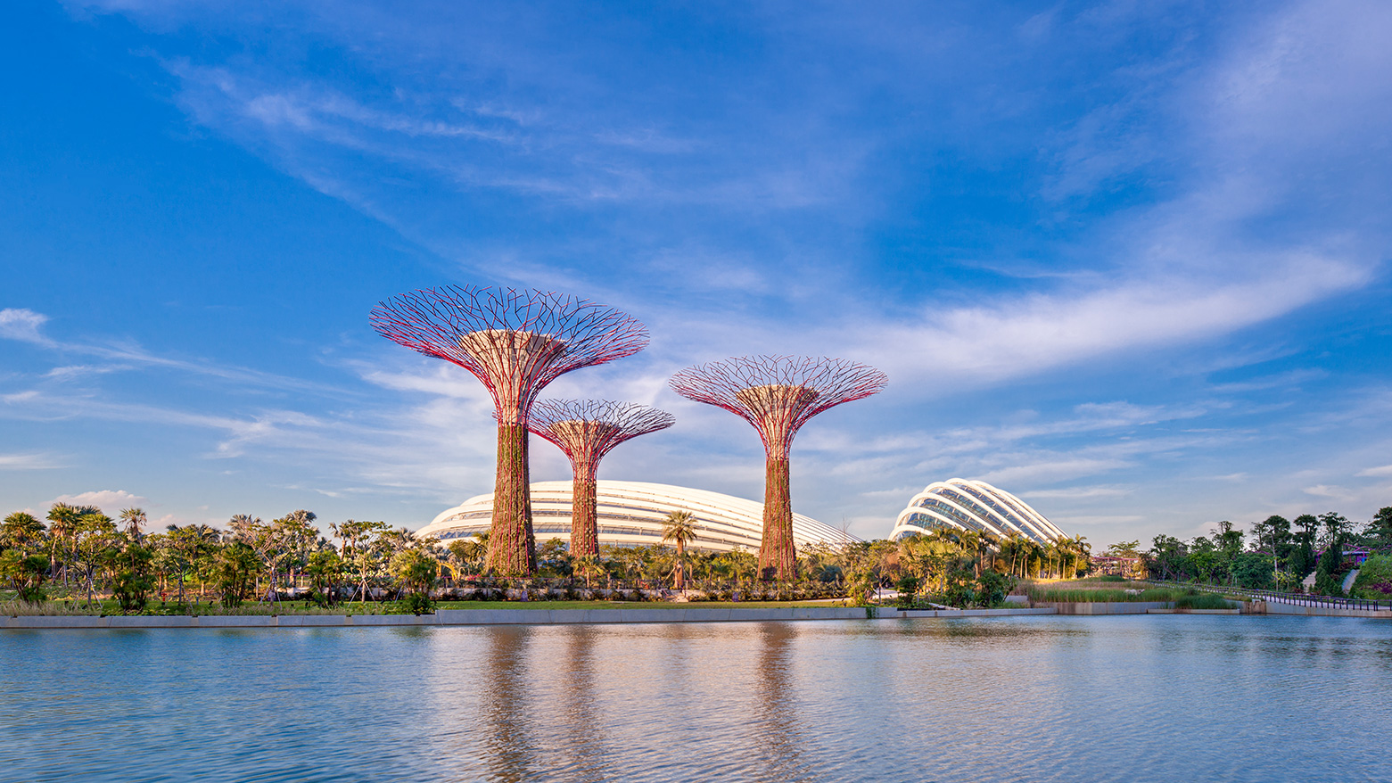 Gardens By The Bay Supertree Grove