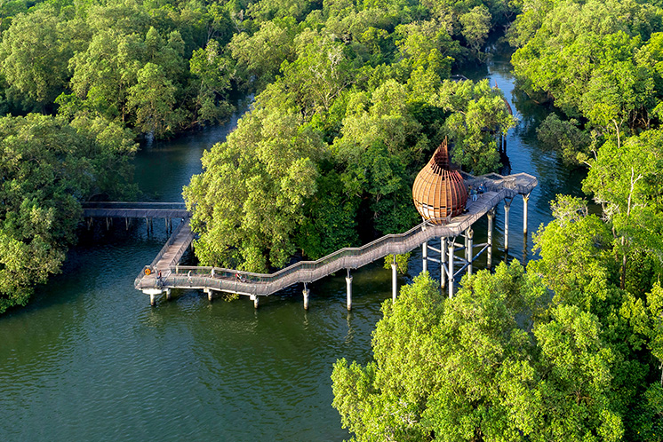 Drone view of Sungei Buloh Wetland Reserve
