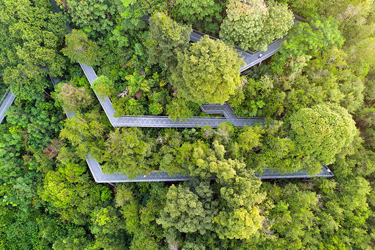 Drone View of The Southern Ridges Walking Trails