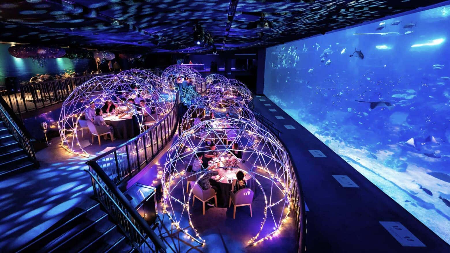 Unique dining experience in Singapore