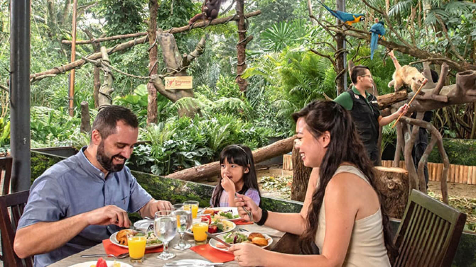 Breakfast with Wildlife in Singapore Zoo