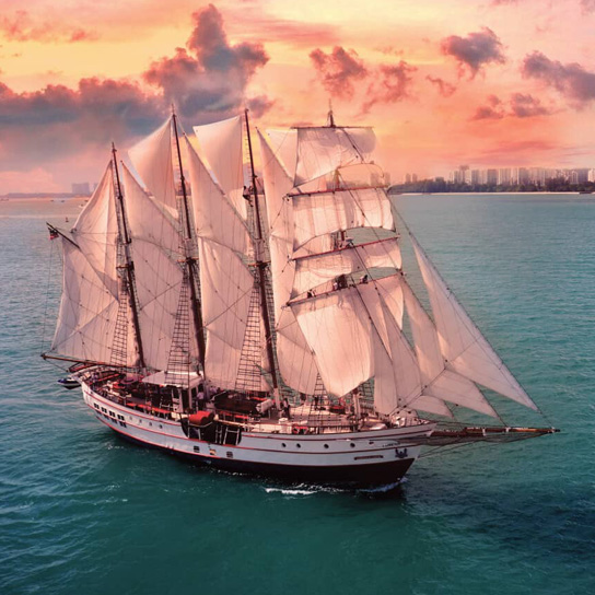 Sunsets, Sails & Sumptuous Food with Royal Albatross