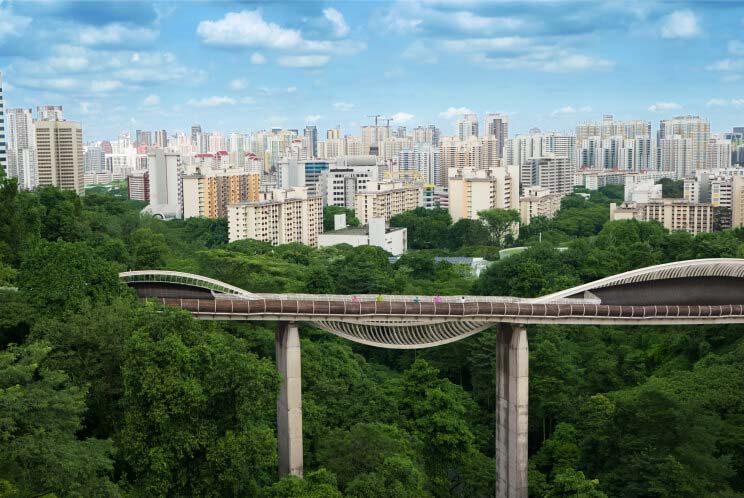 Henderson Waves Bridge, the highest pedestrian bridge in Singapore
