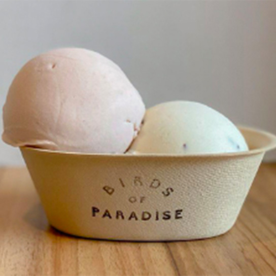 Birds of Paradise Gelato Boutique