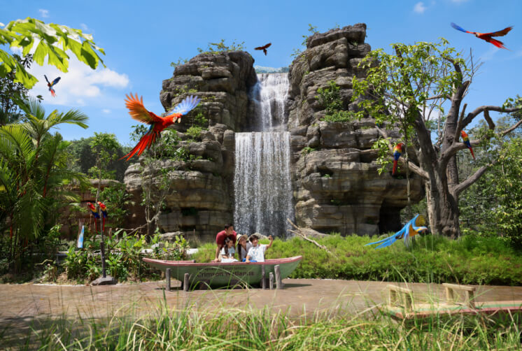 Mandai Bird Paradise - Water Foundation