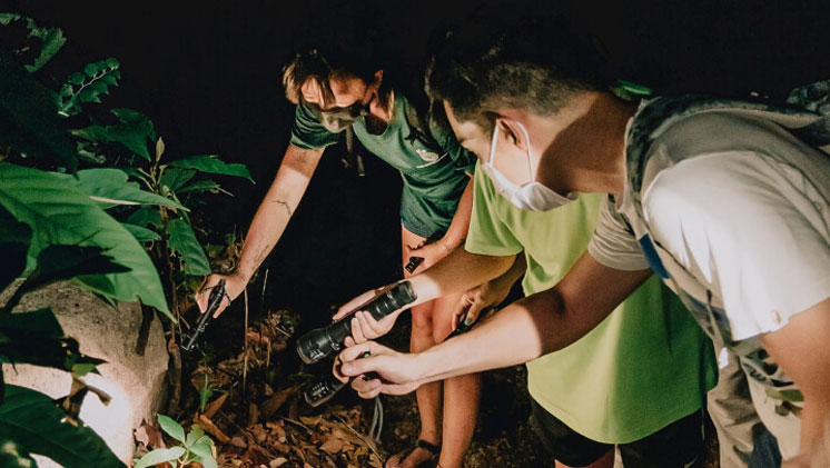 Naturalist Night Adventure at Sentosa