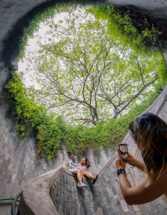 Fort Canning Tree Tunnel